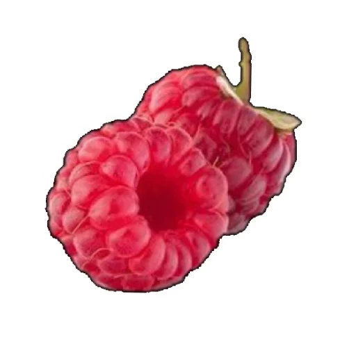 🥐 Стикер «Food» для Telegram