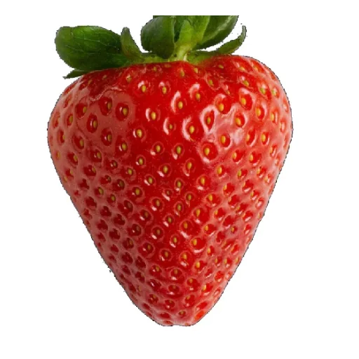 🥐 Стикер «Food» для Telegram