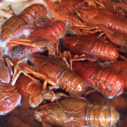 🦀 Стикер «Food» для Telegram