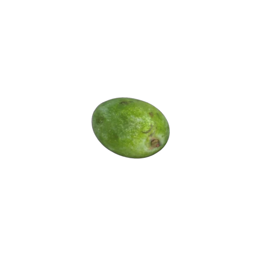 🥑 Стикер «FoodGood» для Telegram