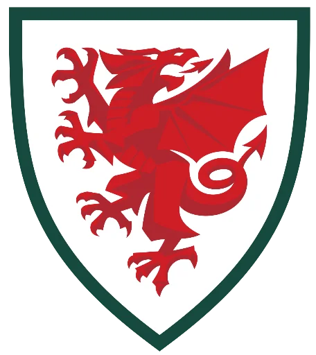🏴󠁧󠁢󠁷󠁬󠁳󠁿 Стикер «Football_UI» для Telegram