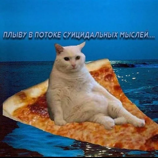 😰 Стикер «Вселенная котиков» для Telegram