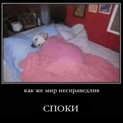 😞 Стикер «Вселенная котиков» для Telegram