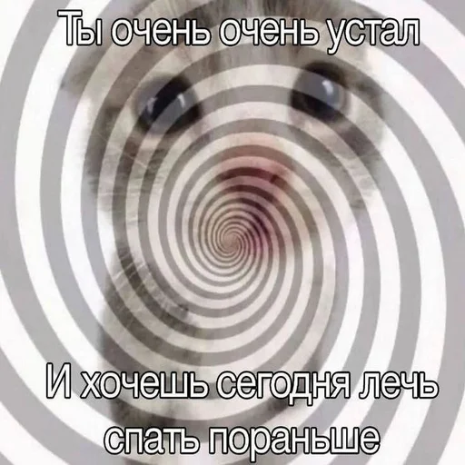 😔 Стикер «Вселенная котиков» для Telegram
