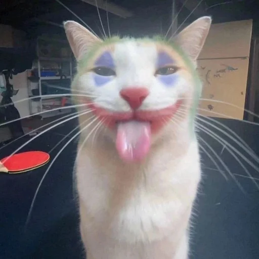 🤡 Стикер «Вселенная котиков» для Telegram