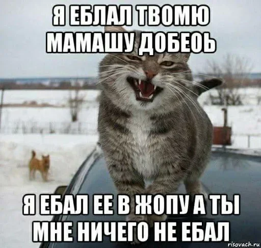 🥰 Стикер «eblanish» для Telegram