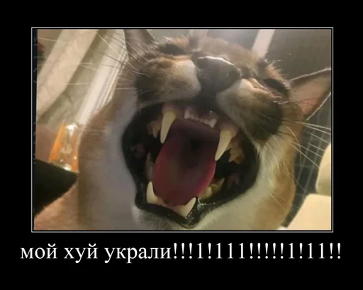 😔 Стикер «eblanish» для Telegram