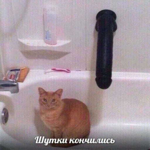 🤔 Стикер «eblanish» для Telegram