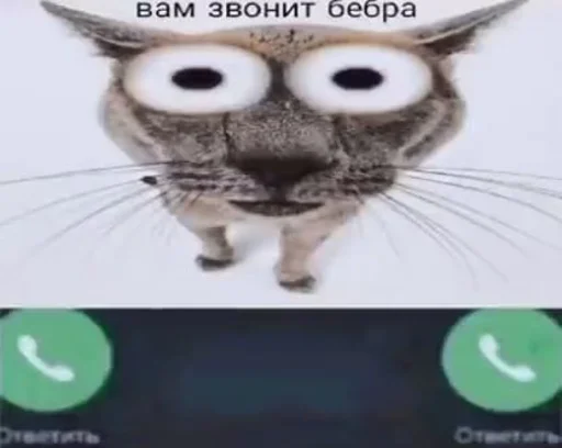 🤔 Стикер «eblanish» для Telegram