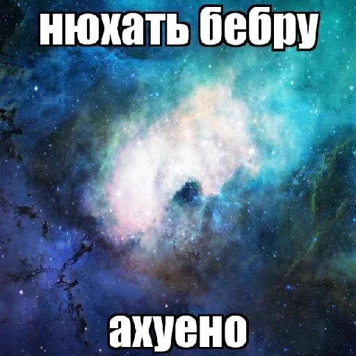 😎 Стикер «eblanish» для Telegram
