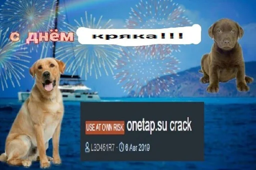 🤑 Стикер «eblanish» для Telegram