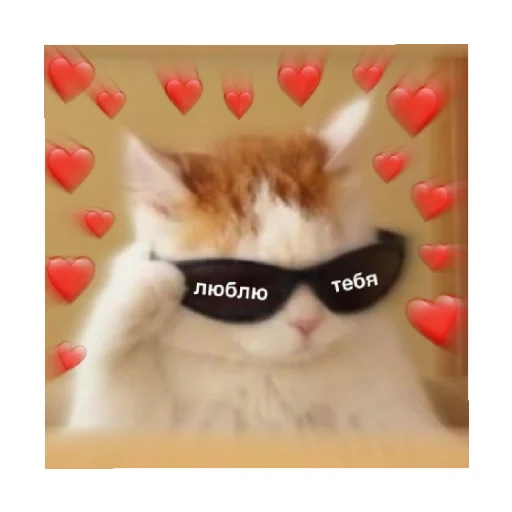 ❤️ Стикер «For every occasion» для Telegram