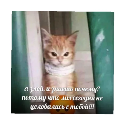 😡 Стикер «For every occasion» для Telegram