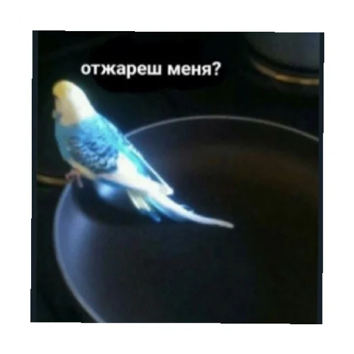 😈 Стикер «For every occasion» для Telegram