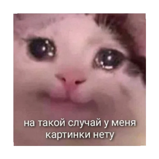 🗿 Стикер «For every occasion» для Telegram