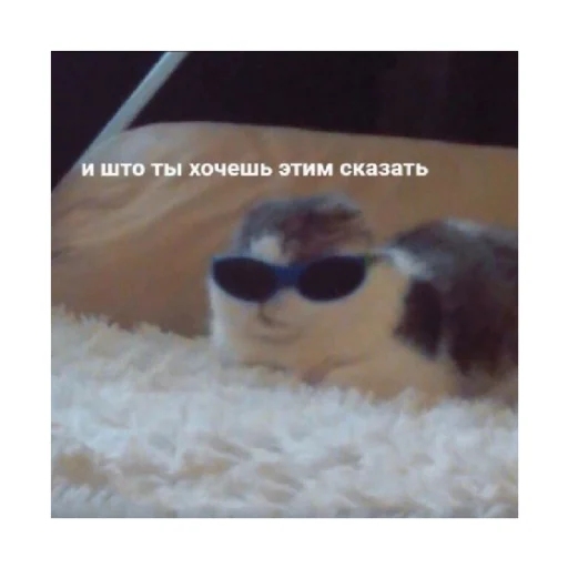 🗿 Стикер «For every occasion» для Telegram
