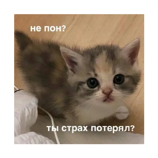 😠 Стикер «For every occasion» для Telegram