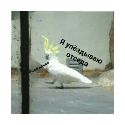 👋 Стикер «For every occasion» для Telegram