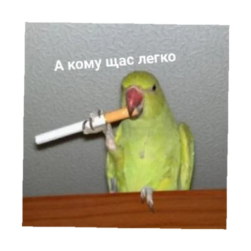 🚬 Стикер «For every occasion» для Telegram