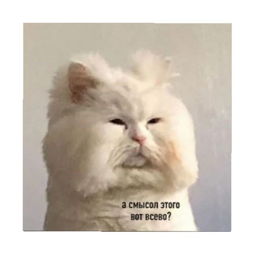 🗿 Стикер «For every occasion» для Telegram