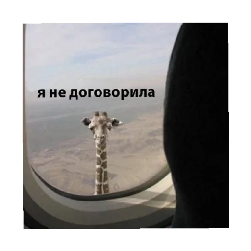 😠 Стикер «For every occasion» для Telegram