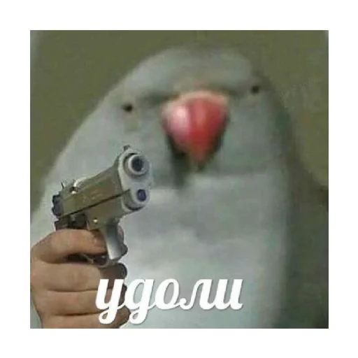 🔫 Стикер «For every occasion» для Telegram
