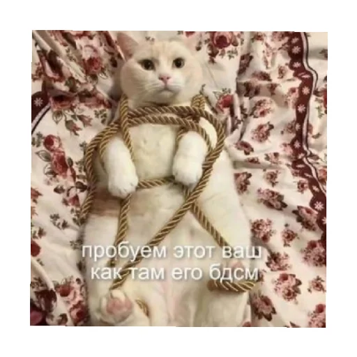 😏 Стикер «For every occasion» для Telegram