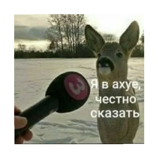 🗿 Стикер «For every occasion» для Telegram