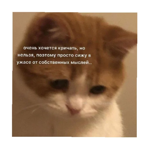 😣 Стикер «For every occasion» для Telegram