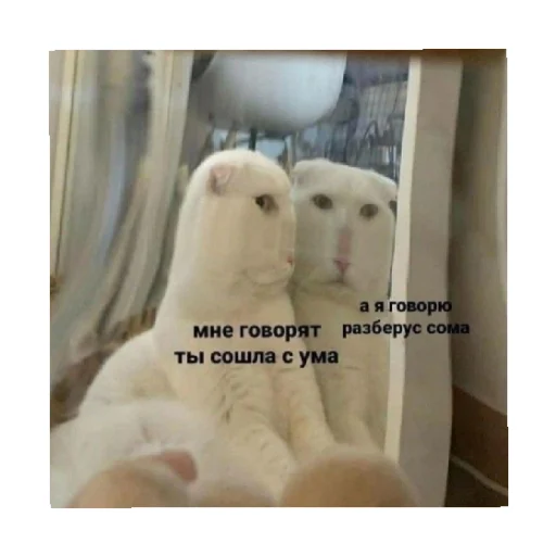 😒 Стикер «For every occasion» для Telegram