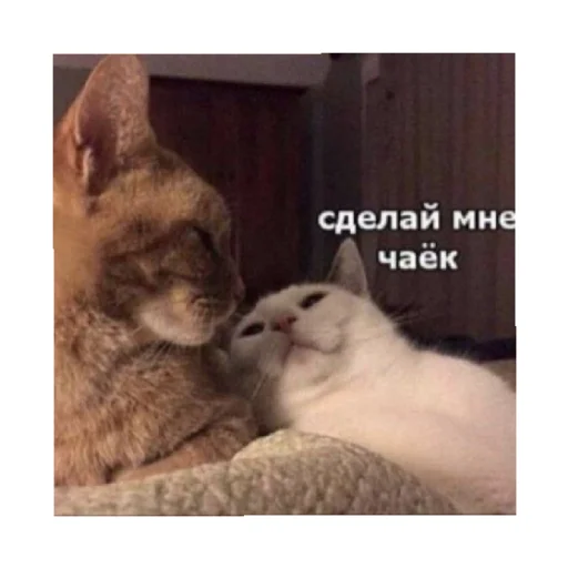 ☕ Стикер «For every occasion» для Telegram