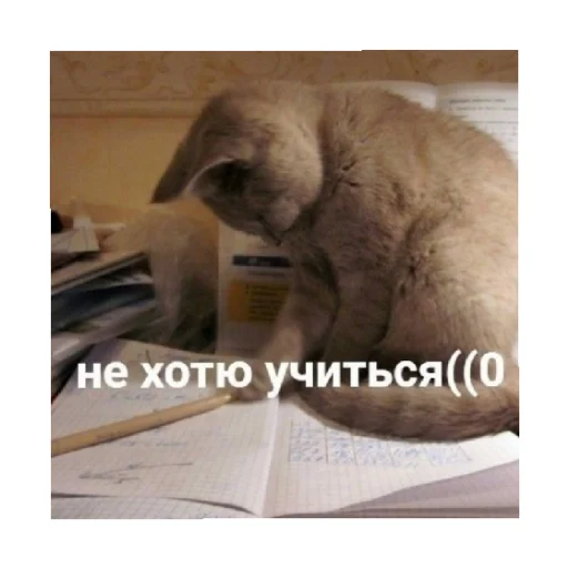 😒 Стикер «For every occasion» для Telegram
