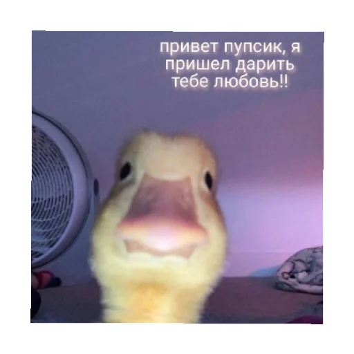 ❤️ Стикер «For every occasion» для Telegram