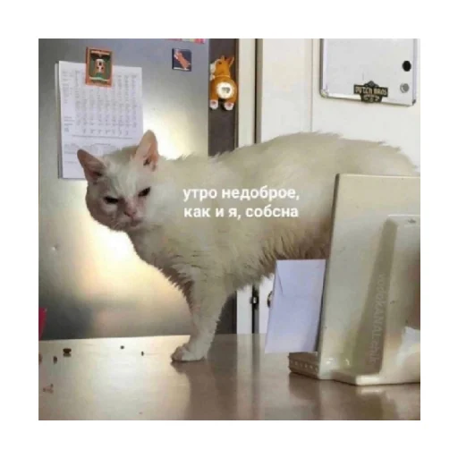 😒 Стикер «For every occasion» для Telegram