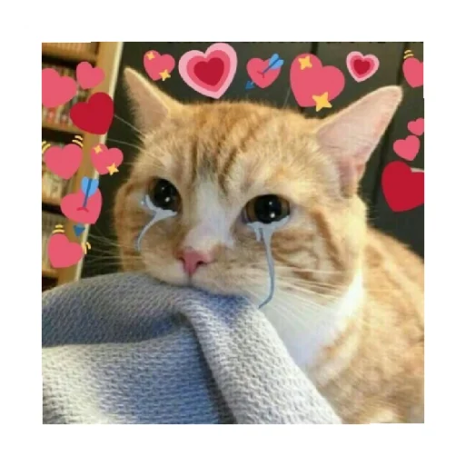 😭 Стикер «For every occasion» для Telegram