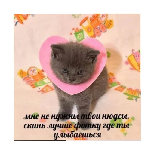 🥺 Стикер «For every occasion» для Telegram