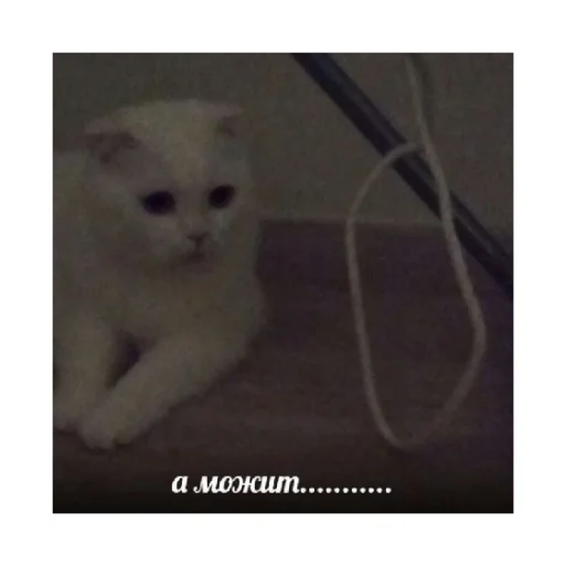 😖 Стикер «For every occasion» для Telegram