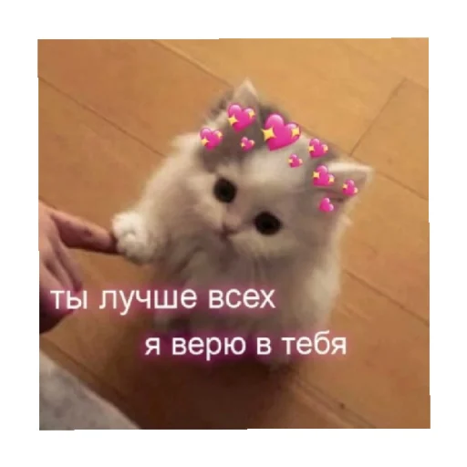 🥰 Стикер «For every occasion» для Telegram