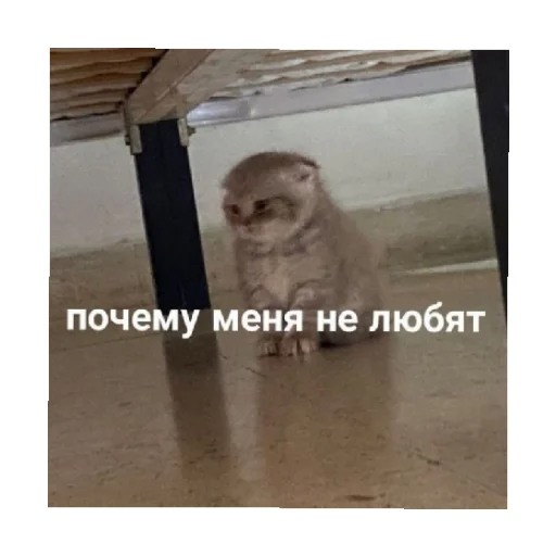 😭 Стикер «For every occasion» для Telegram