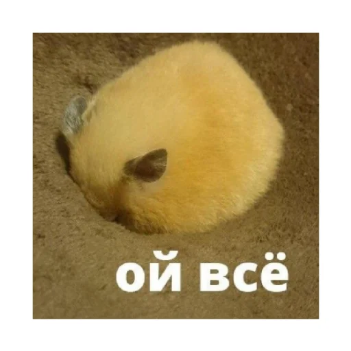 🙄 Стикер «For every occasion» для Telegram