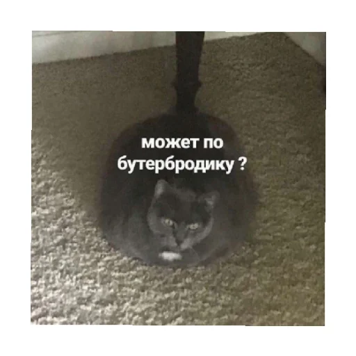 👀 Стикер «For every occasion» для Telegram