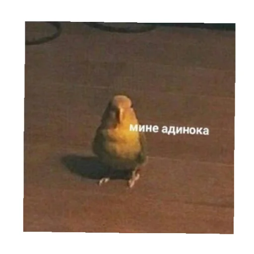 😔 Стикер «For every occasion» для Telegram
