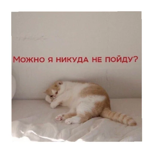 🥺 Стикер «For every occasion» для Telegram