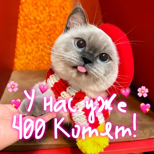 😺 Стикер «My kitties» для Telegram