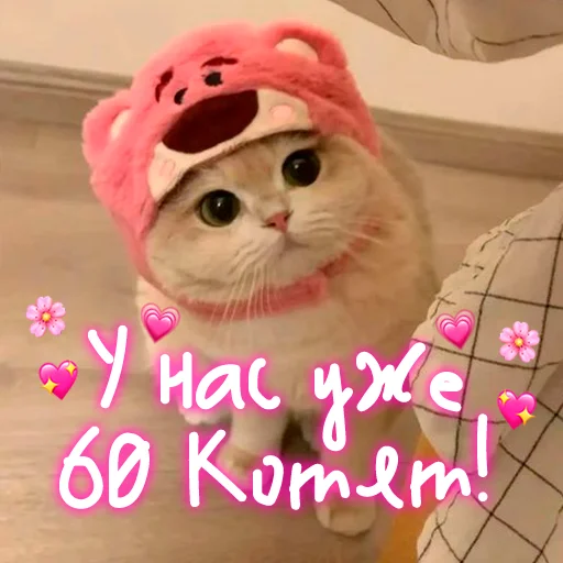 😺 Стикер «My kitties» для Telegram