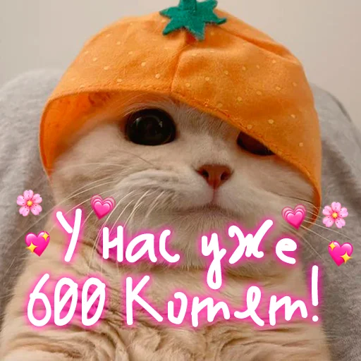 😺 Стикер «My kitties» для Telegram