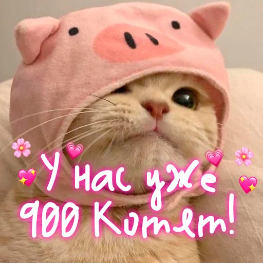 😺 Стикер «My kitties» для Telegram