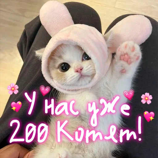 😺 Стикер «My kitties» для Telegram