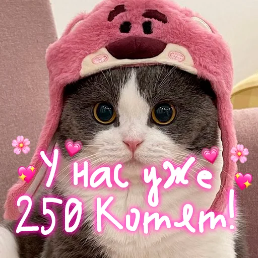 😺 Стикер «My kitties» для Telegram