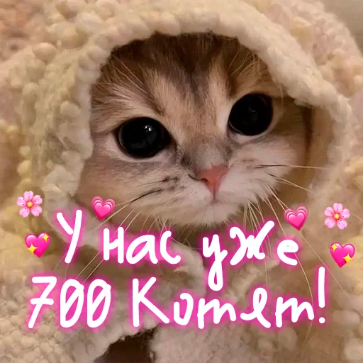 😺 Стикер «My kitties» для Telegram
